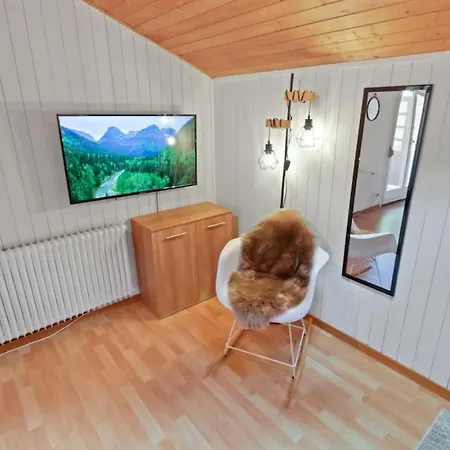 Apartmán Avec Parking Gratuit Ovronnaz