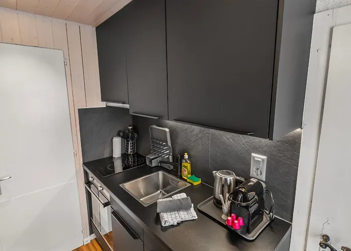 à 5 Minutes à Pied Des Bains Ovronnaz