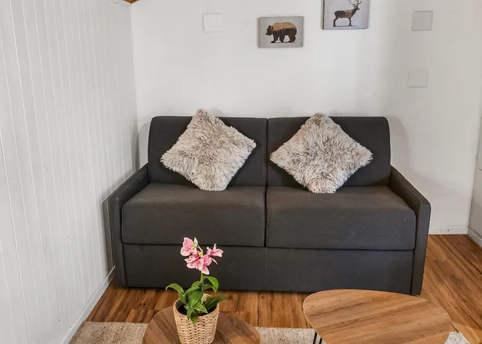 à 5 Minutes à Pied Des Bains * Ovronnaz